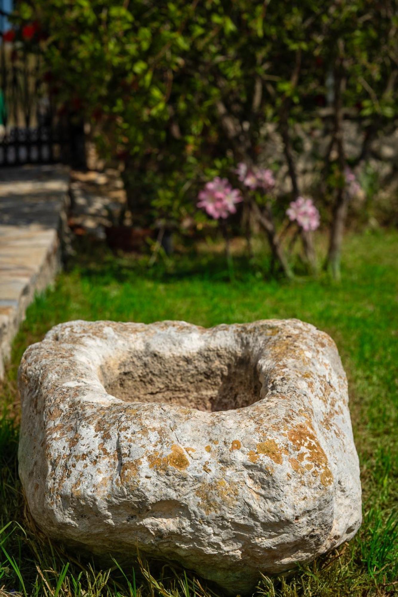 Villa Dionysios Keri Luaran gambar