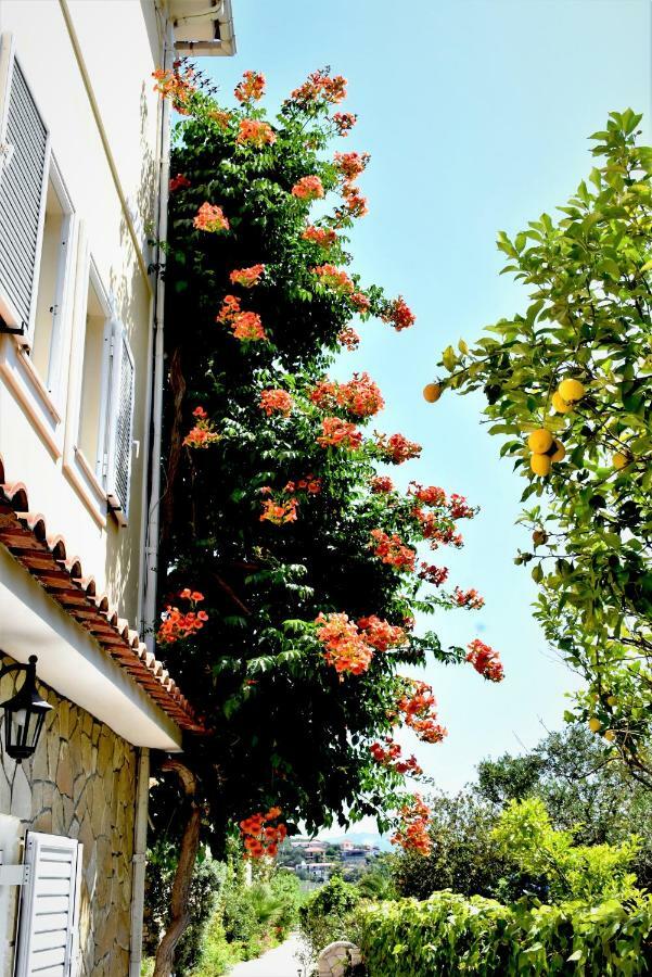 Villa Dionysios Keri Luaran gambar